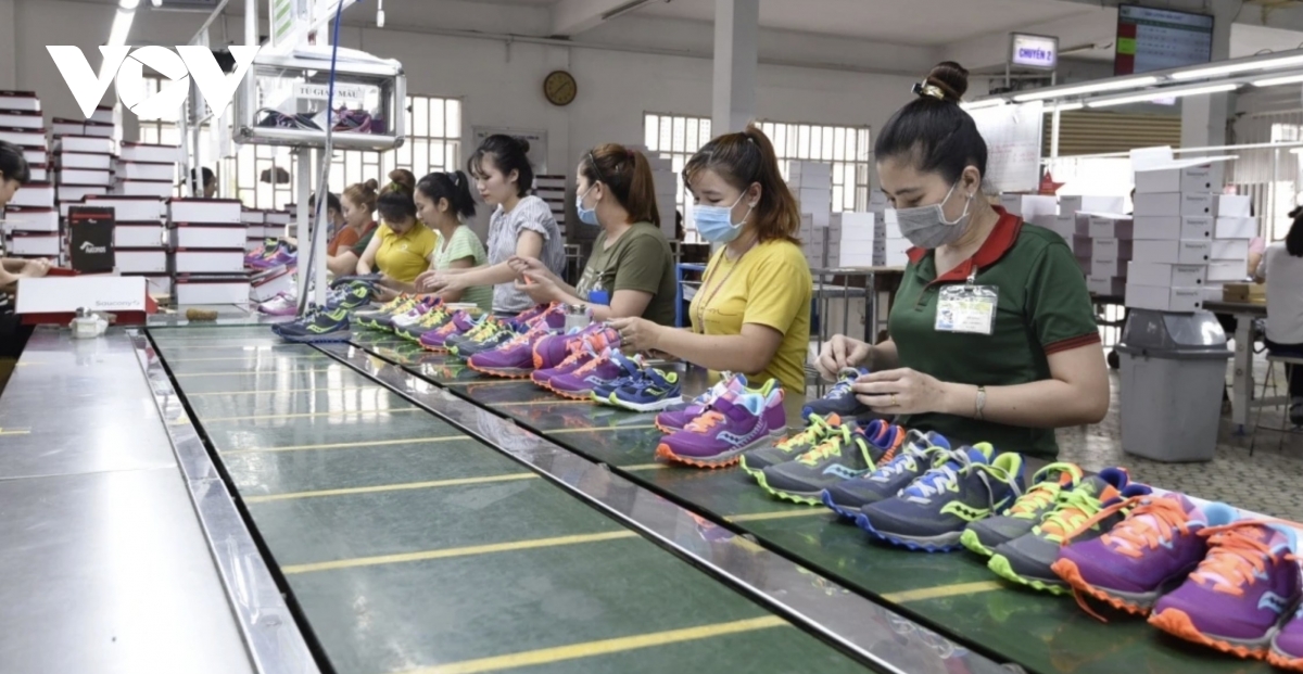 Seminar promotes sustainable value chains in Vietnam-India leather, footwear sector